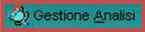 Gestione Analisi l_gestione analisi